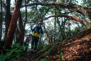 BIB: 
                            <button type="button" onclick="openModal(26344274)" class="btn btn-primary btn-sm float-right btn-popup" data-toggle="modal" data-target=".modal-high-quality">
                        <i class="fas fa-shopping-cart"></i> Add to Cart
                    </button>
                                            <button type="button" onclick="isThisMe(26344274, true)" class="btn btn-success btn-sm float-right btn-popup btn-isme hidden" data-toggle="tooltip" data-placement="bottom" title="นี่คือรูปของคุณใช่ไหม คลิกที่นี่เพื่อเอาเข้าอัลบั้ม">
                        <i class="fas fa-plus"></i> Add to album
                    </button>
                    <button type="button" onclick="isThisMe(26344274, false)" class="btn btn-warning btn-sm float-right btn-popup btn-isnotme hidden">
                        <i class="fas fa-ban"></i> Remove from album
                    </button>